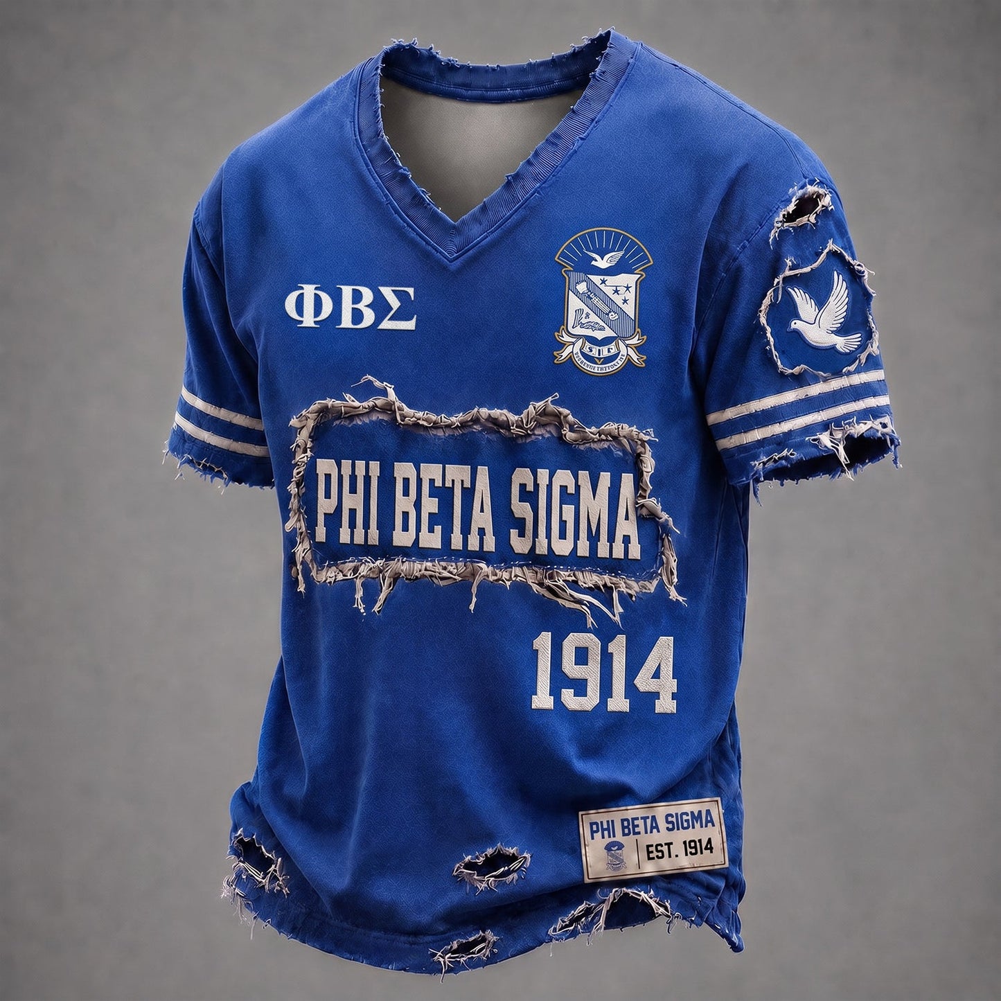 PREMIUM SIGMA X PBS EXCLUSIVE VNECK-TSHIRT NDT NHM 240726